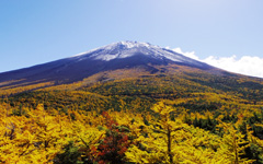 奥庭からの富士山