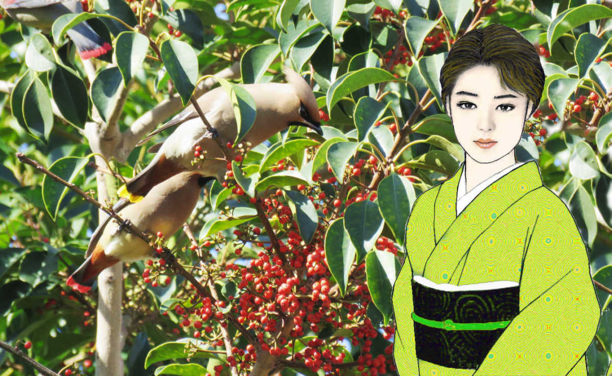 佐和子と黄連雀と緋連雀　　　　　　二月二十三日の平塚市徳延から 