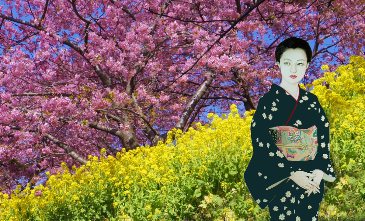 明子と菜の花と河津桜　　　　三月五日の松田山から 