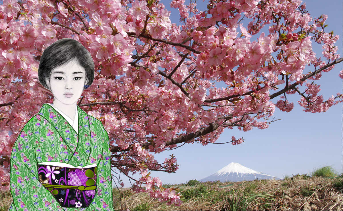 <h2>七菜美と寒桜　　　　三月上旬の富士市潤井川から </h2>