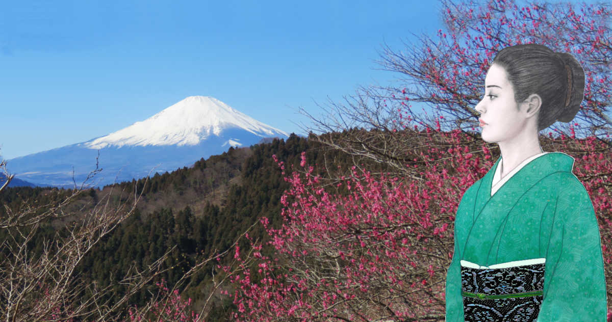 響子と紅梅と富士山　　　　　二月十九日の松田山の桜の石碑付近から
