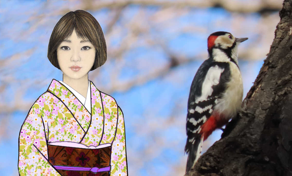 光稀とアカゲラ　　　　コレカラツツキマス　 　　　　一月の小石川から 