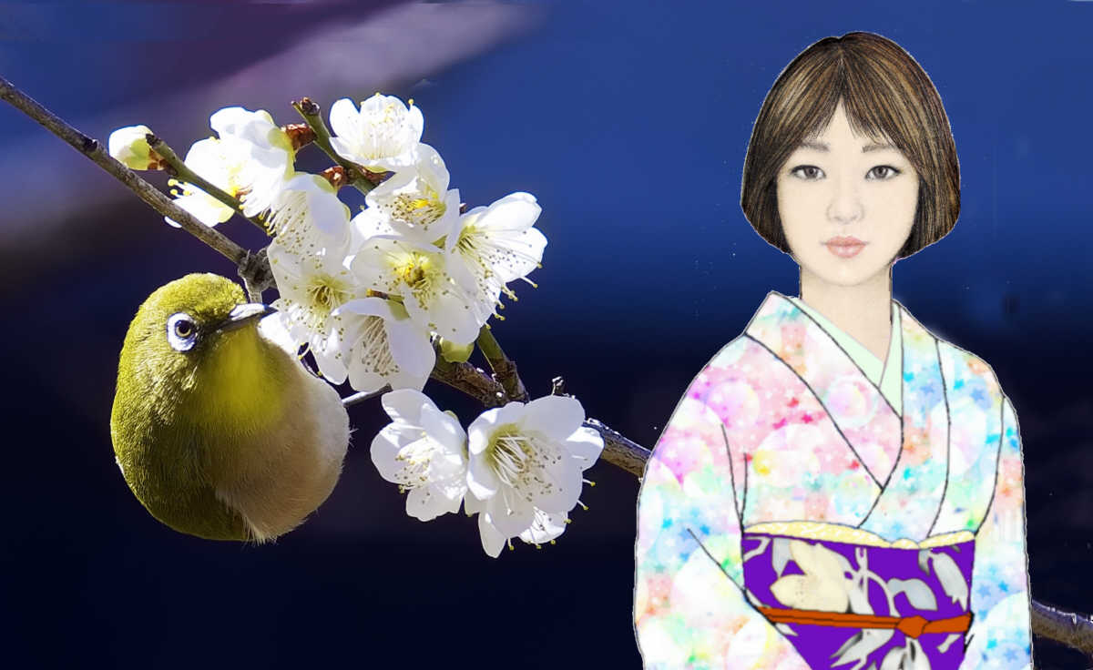 光稀と梅とメジロ　　　　　　　一月