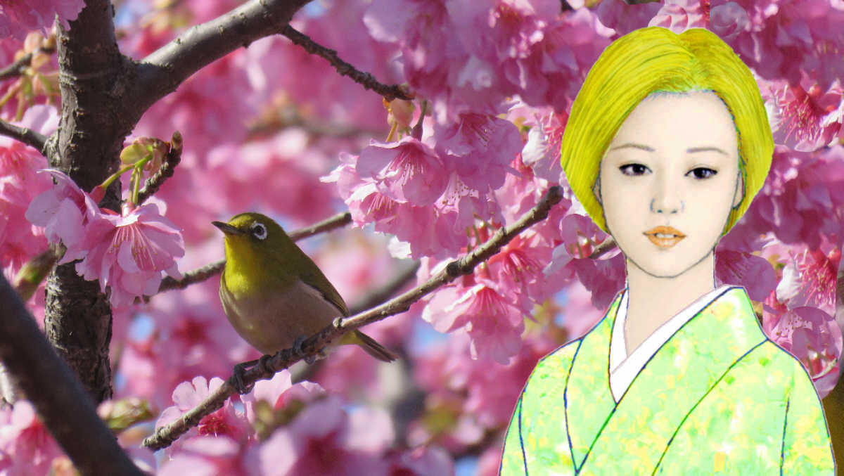 ちさとと桜とメジロ　　　三月三日の綾瀬市蟹ヶ谷公園から 