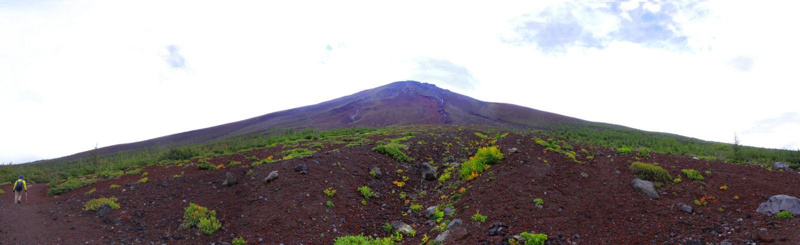 �x�m�R�䒆���@���-����x�@�P�@�@�E�n�𒆉��ɂ��č��E�ɂ����삪�L�тĂ����܂�