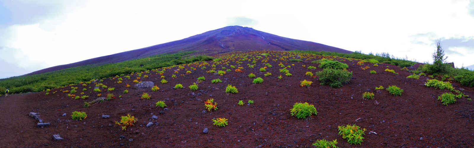 �x�m�R�䒆���@���-����x�@�Q�@�@�@�X�R���A�ɐ�����p�C�I�j�A�A���Q