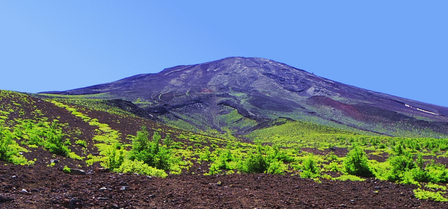 �x�m�R�䒆���@����x-���@�R�@ �@�p�C�I�j�A�A���Q���R���𔇂��o��