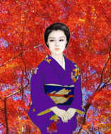 秋華と紅葉　　十一月二十九日の鎌倉天園獅子舞から