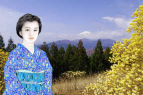 ゆかりとミツマタと富士山　四月一日のミツバ岳から