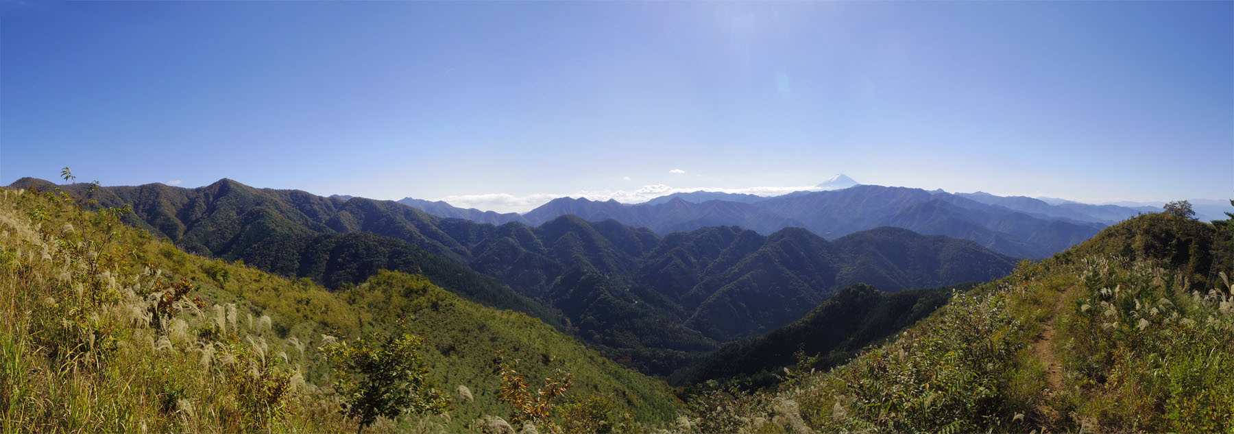 �b�B�����R�̕x�m����`�b�B�����R���􂩂�̕x�m�R