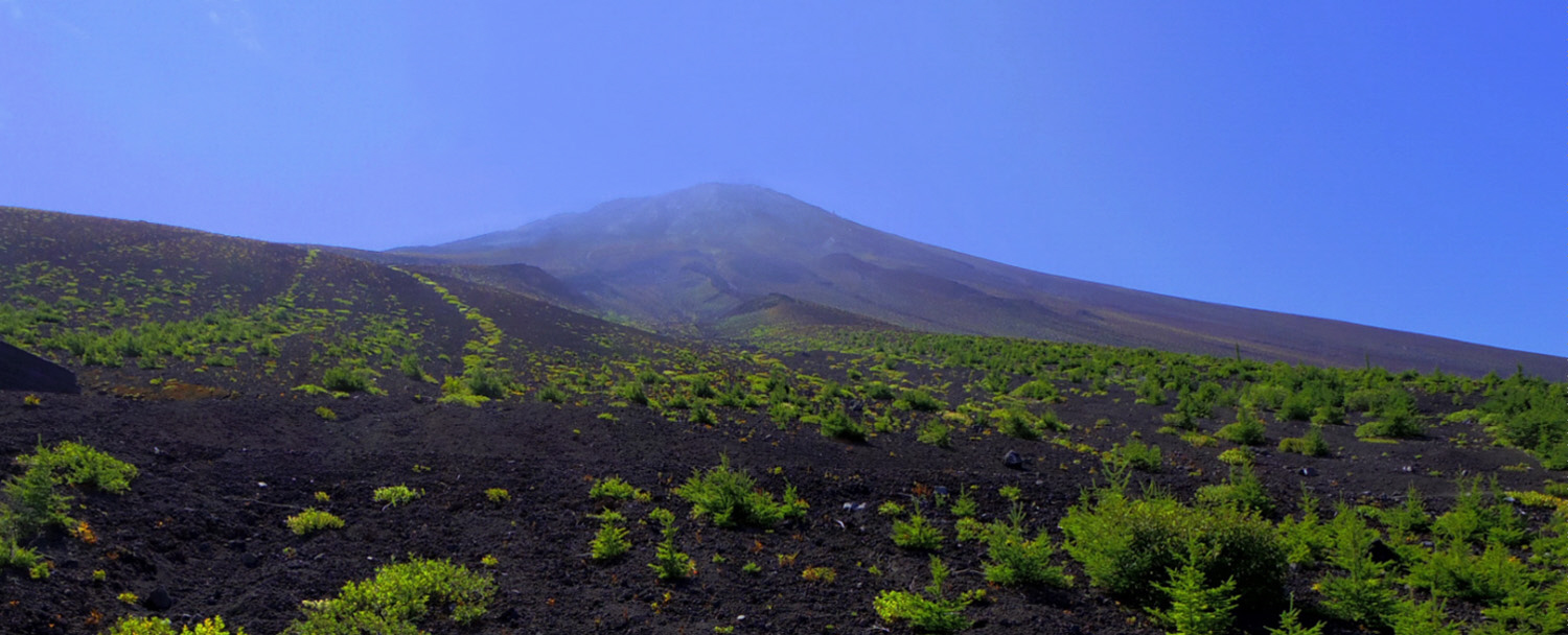 �䒆���@����x�`��납��̕x�m�R