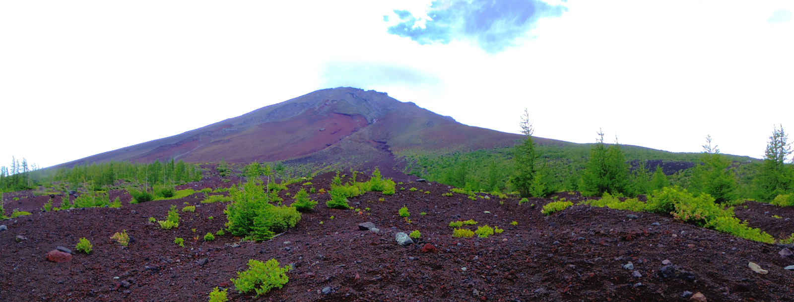 �䒆���@����x�`��납��̕x�m�R