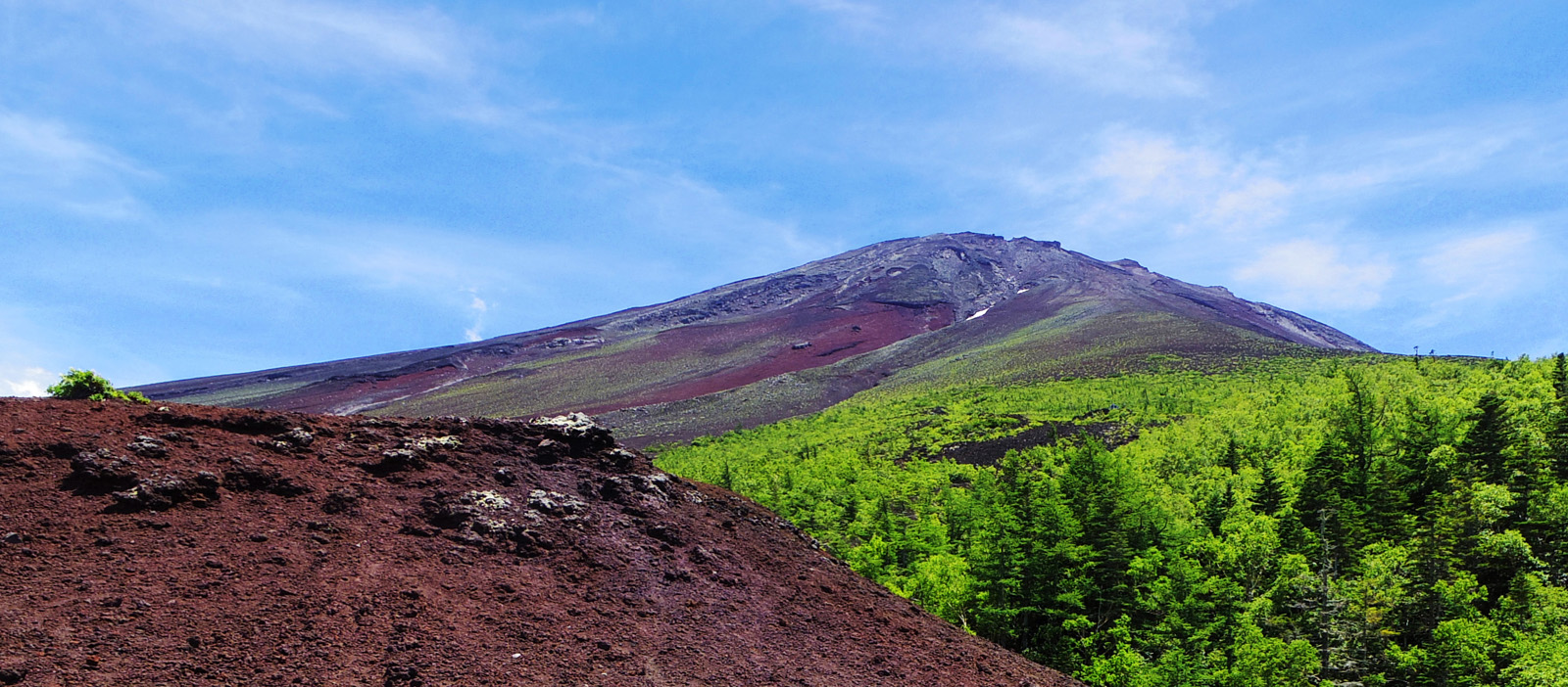 �x�m�R�䒆���̌�납��̕x�m�R