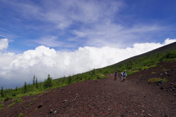 �x�m�R�̎ʐ^�@