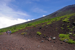 �x�m�R�̎ʐ^�A