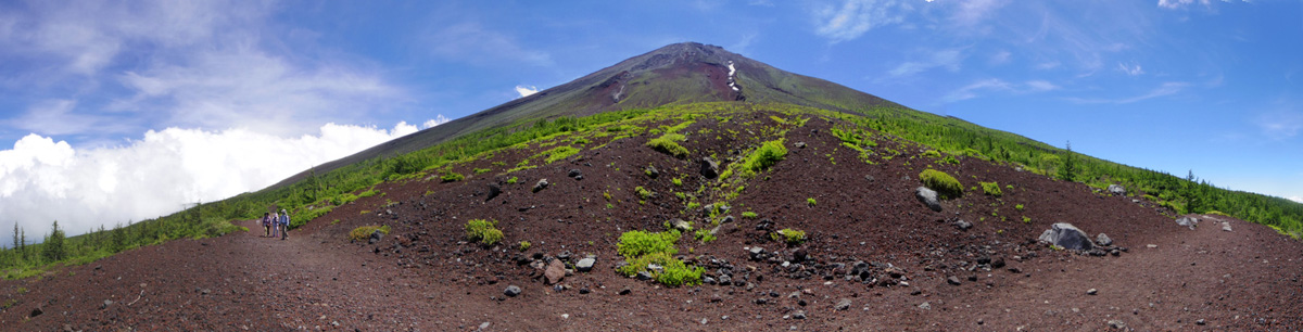 �x�m�R�S�̂̍����摜�iA�j