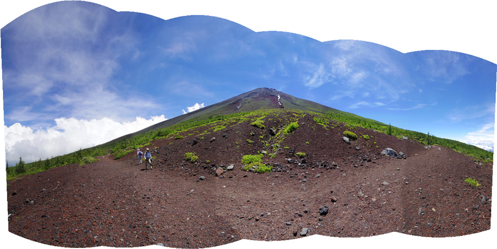 �@�c���ʐ^�U����p�����~���@�ɂ�鍇���摜�iD)