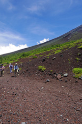 �x�m�R�̎ʐ^T�B