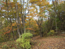 登山ポスト～変電所の紅葉