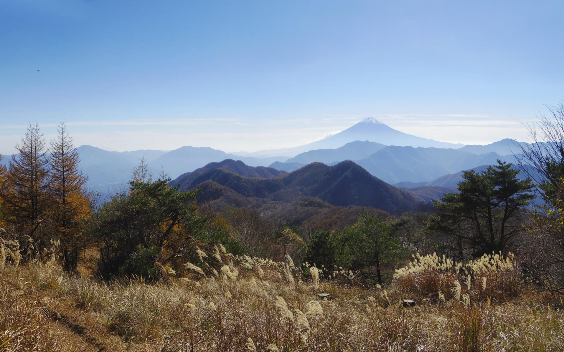 �n�}�C�o�ێR������3�����i�񂾂Ƃ���̕x�m�R�W�]�n����@�@�ǎ��p�摜