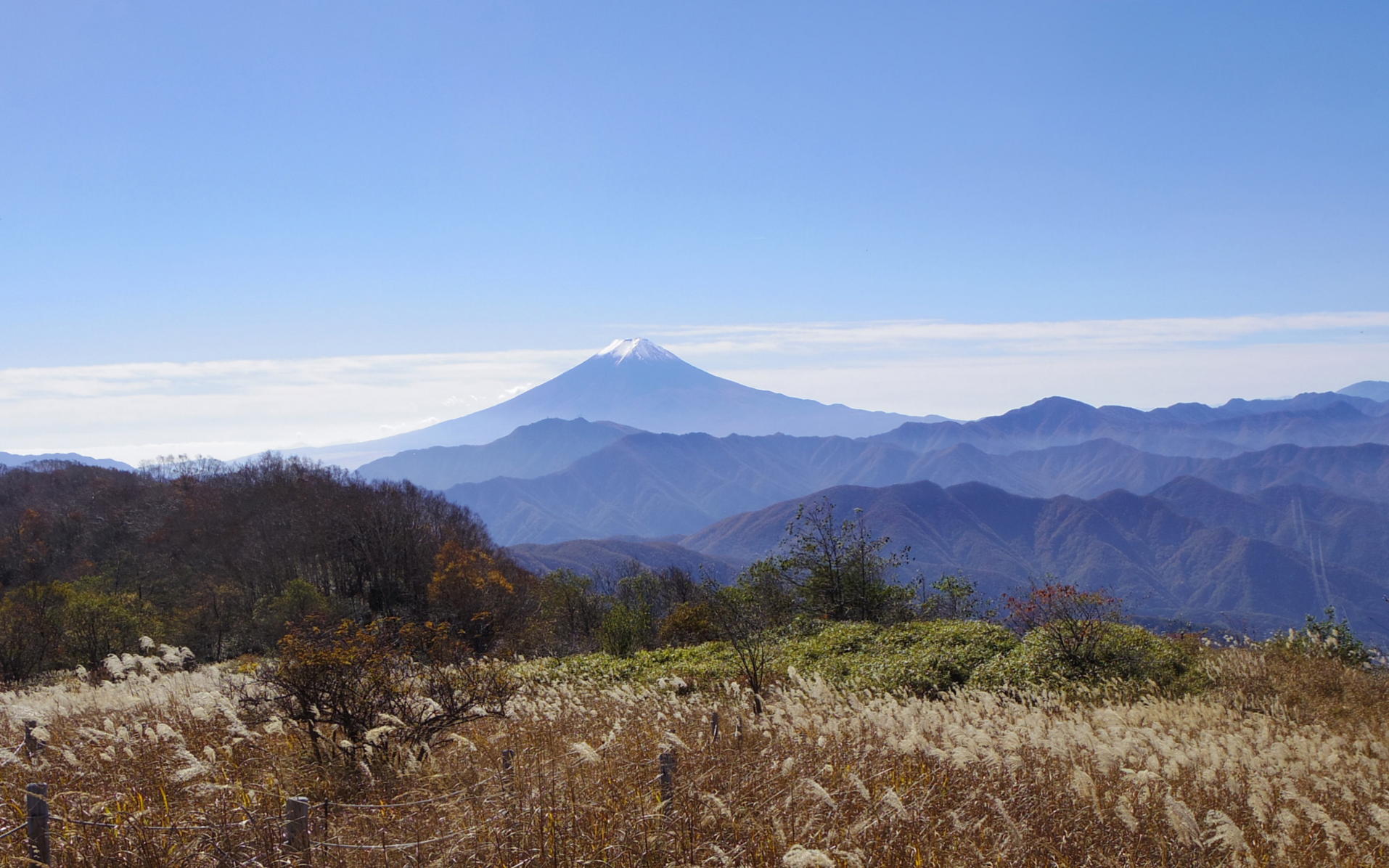 �@�呠���ۂ���̕x�m�R�B�ǎ��p�摜�iWUXGA�@1920�~1200�j�B