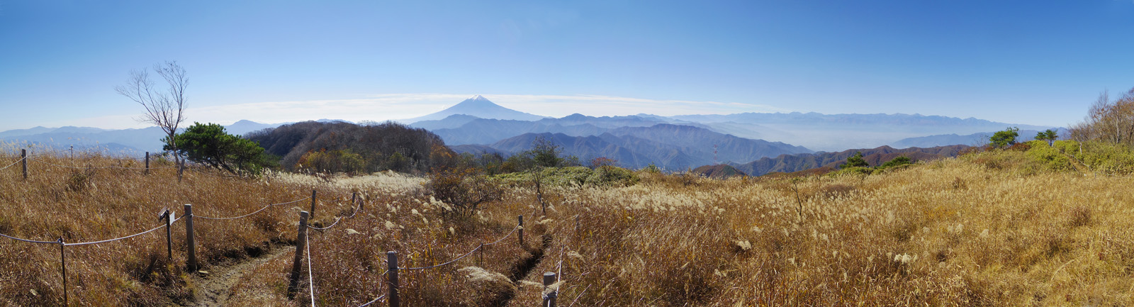 �呠���ے��ォ��̕x�m�R�������W�]