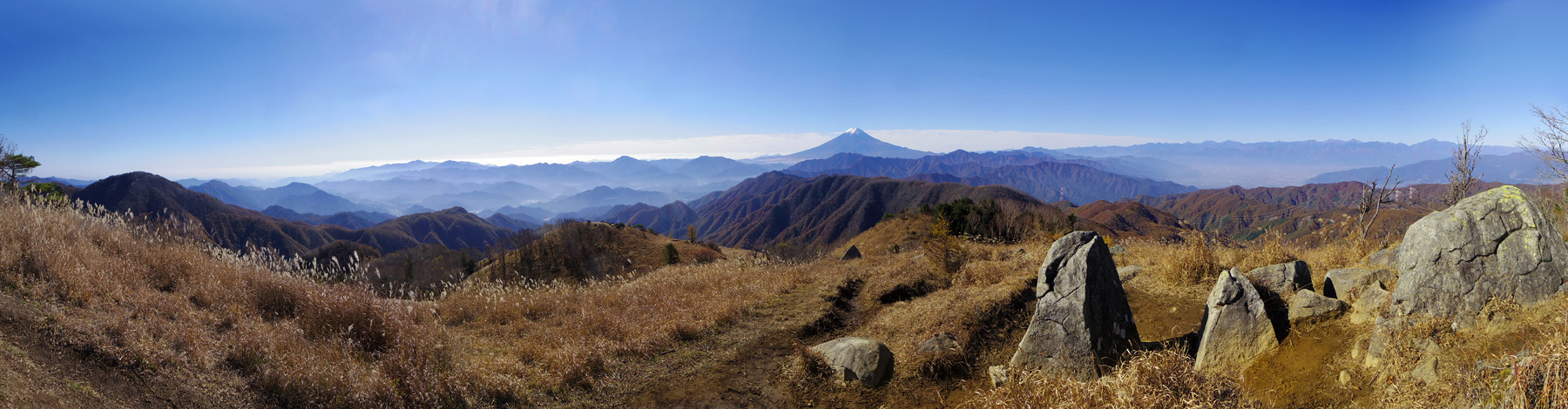 ���J�ۂ���̕x�m�R�������W�]�@�@����ۂސ�i�ł�