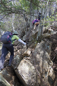 滝子山寂ショウ尾根ルートの登山道