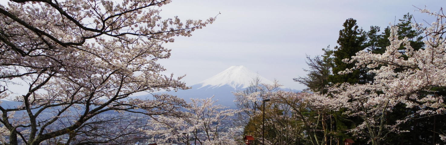 �V�q�R��Ԍ����̍��ƕx�m�R