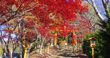 新倉山浅間公園-新倉山-霜山の紅葉