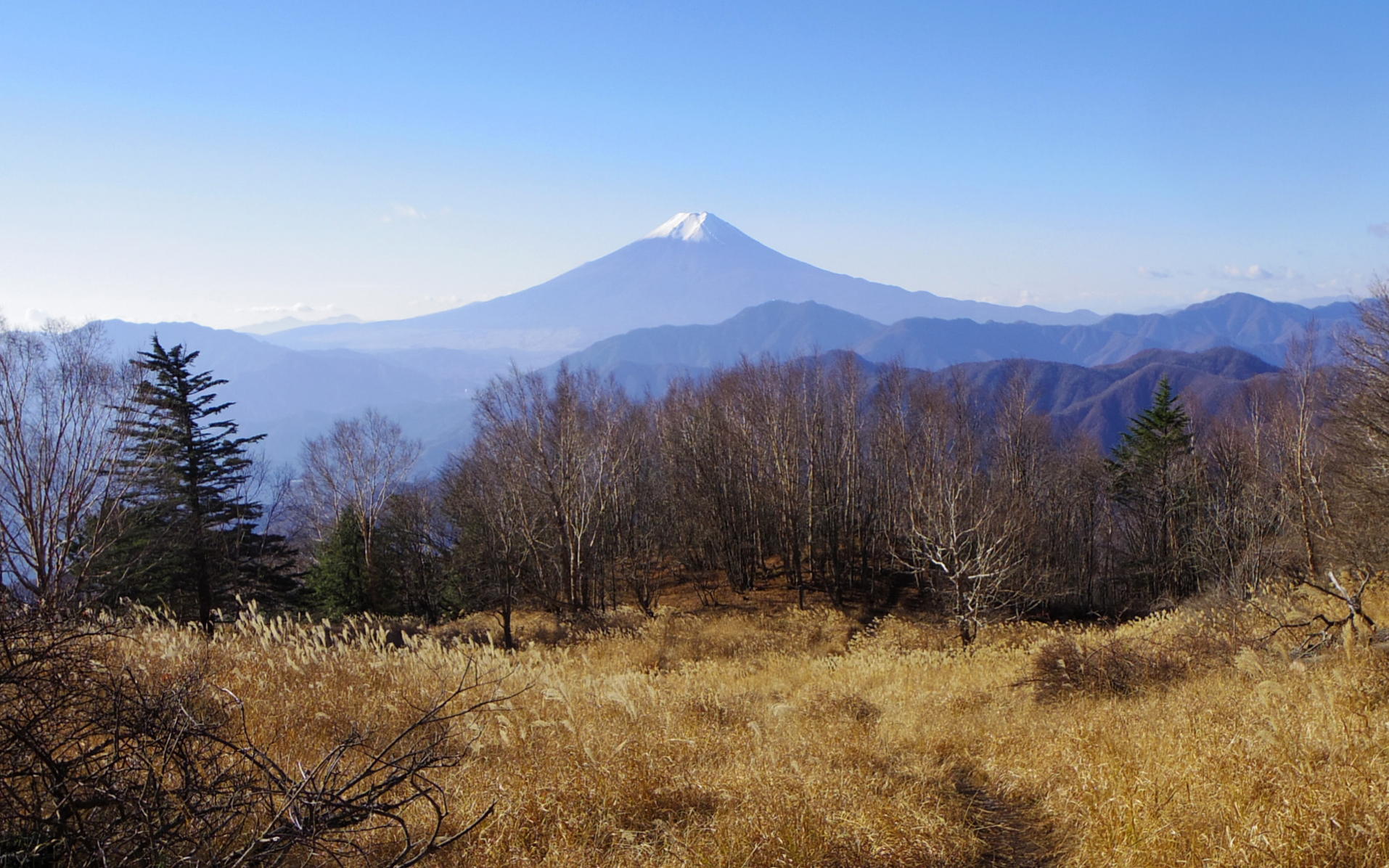 �僖�����R��������̕x�m�R�ǎ��p�摜�iWUXGA�@1920�~1200�j