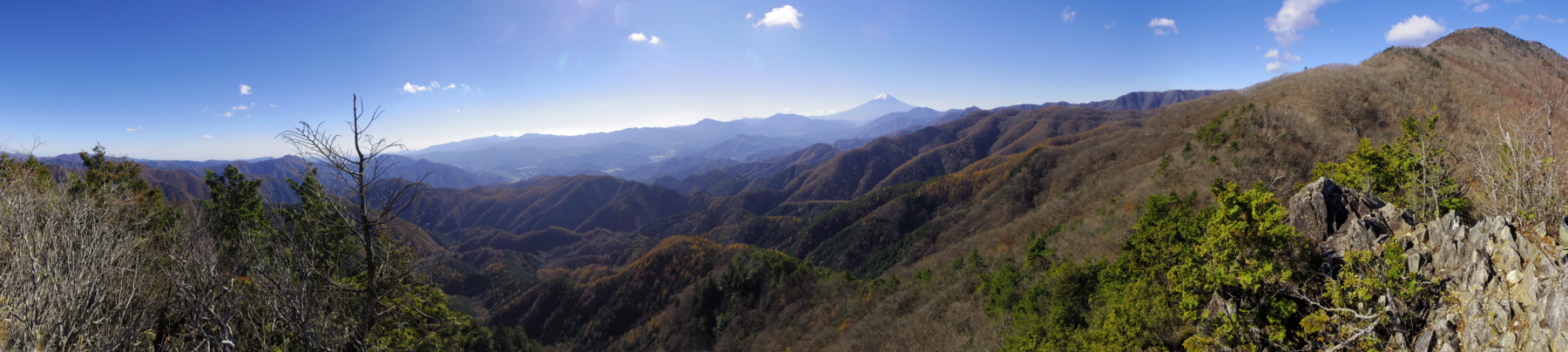 �W�q�R�������㍶���̊�ꂩ��̕x�m�R�������W�]