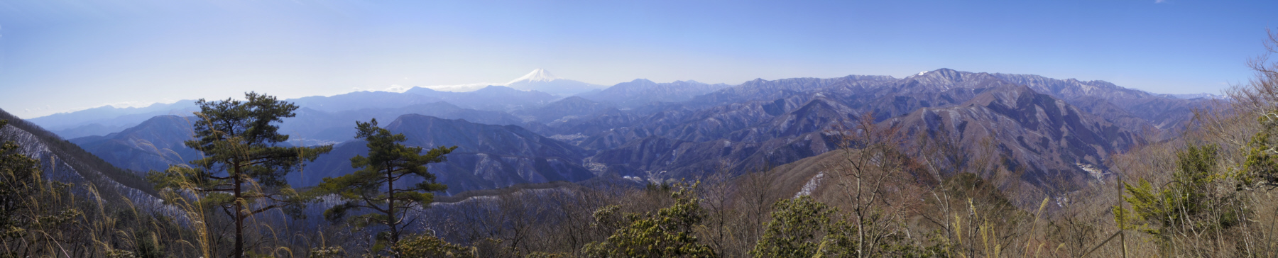 �O�b�X�k�􂩂�̕x�m�R�������W�]