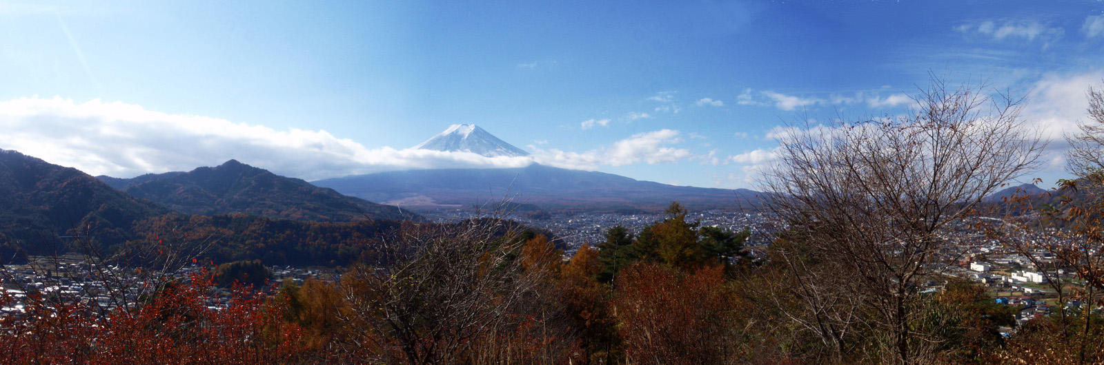 �x�m���䂩��̕x�m�R�i�R�j�@�@2010�N11��16���@10�F18