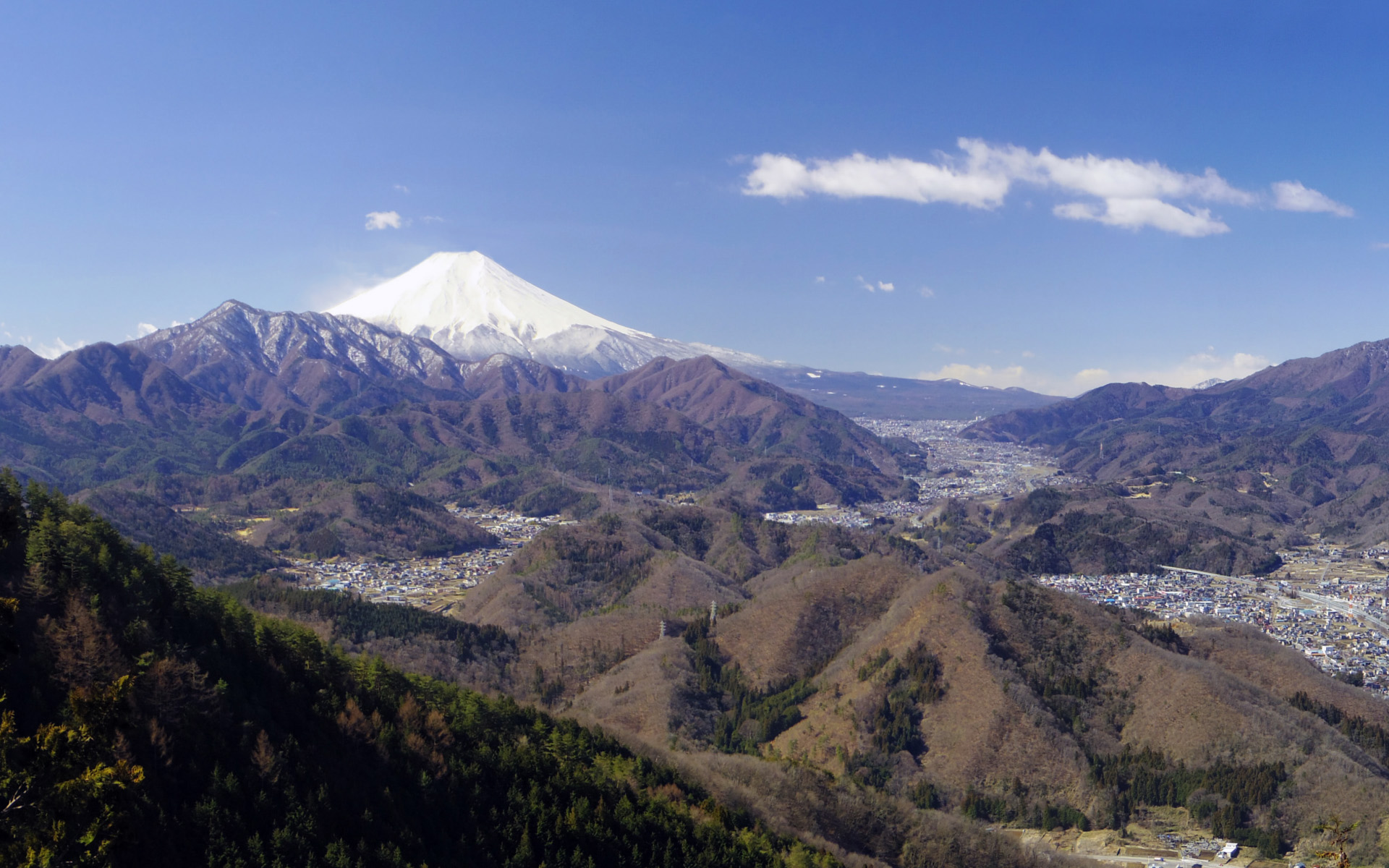 ��S�R�V��₩��̕x�m�R�i�R�j