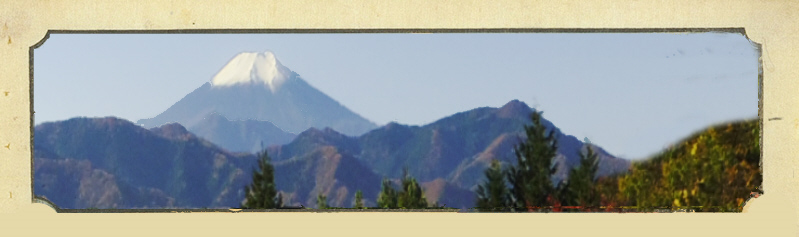 上図の横幅を少し縮めた画像