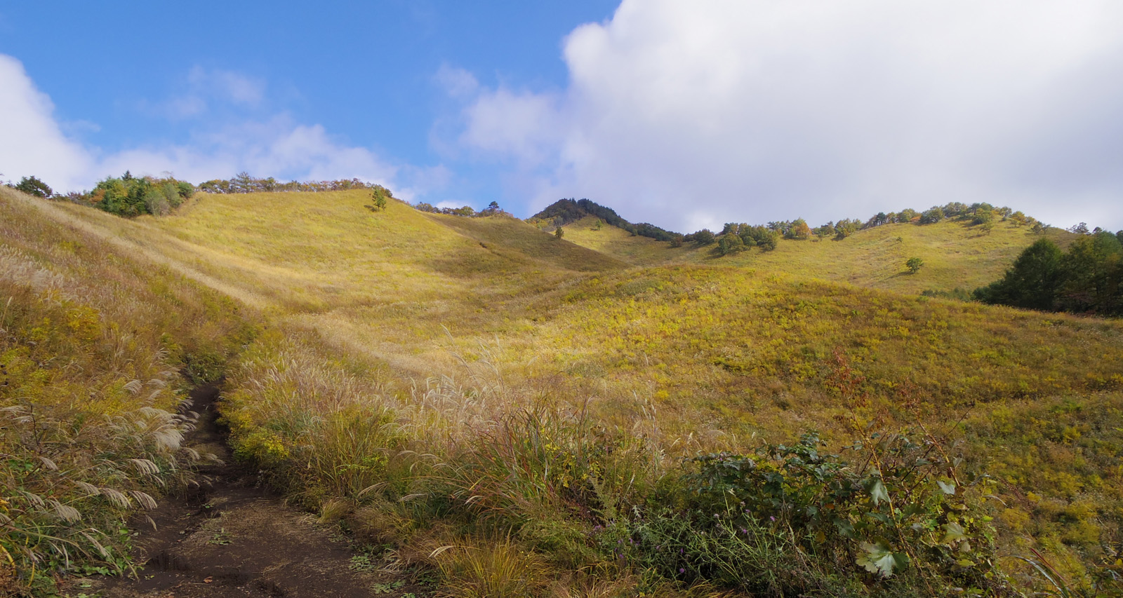 �����R�����̃J���g�̌�����R���𒭂߂�