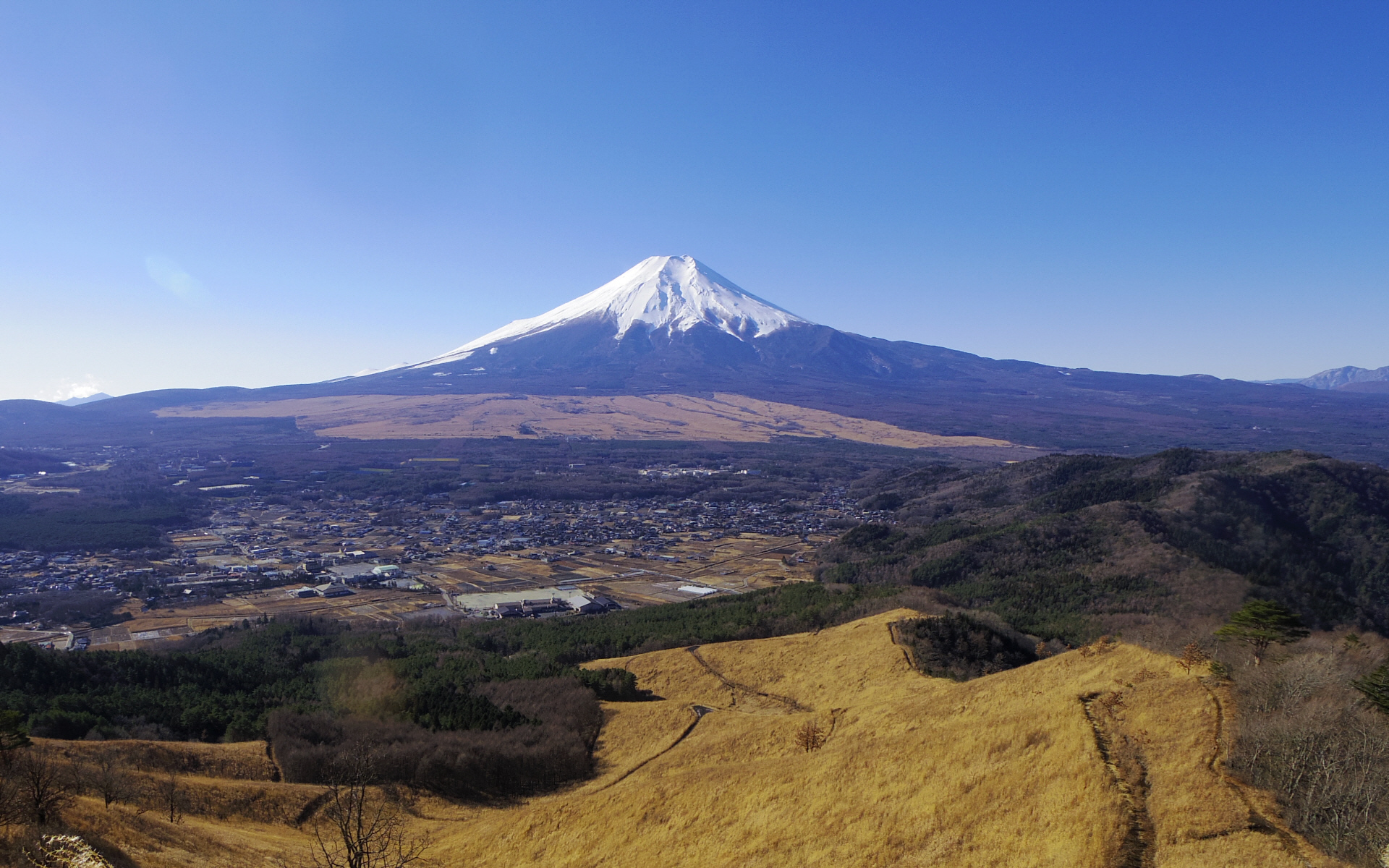 �����R��������̕x�m�R