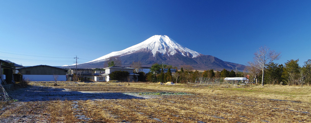 �V��Ђ̋�������̕x�m�R