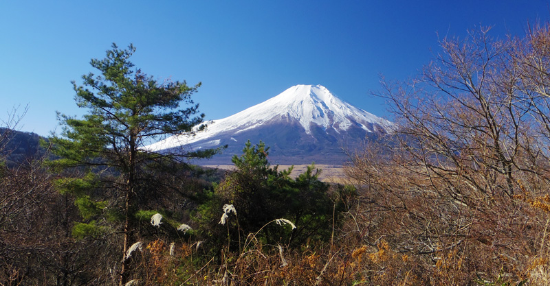 �ԓ��ɂԂ����O����̕x�m�R