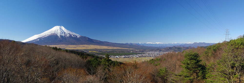 ��\�ȓ�����̕x�m�R