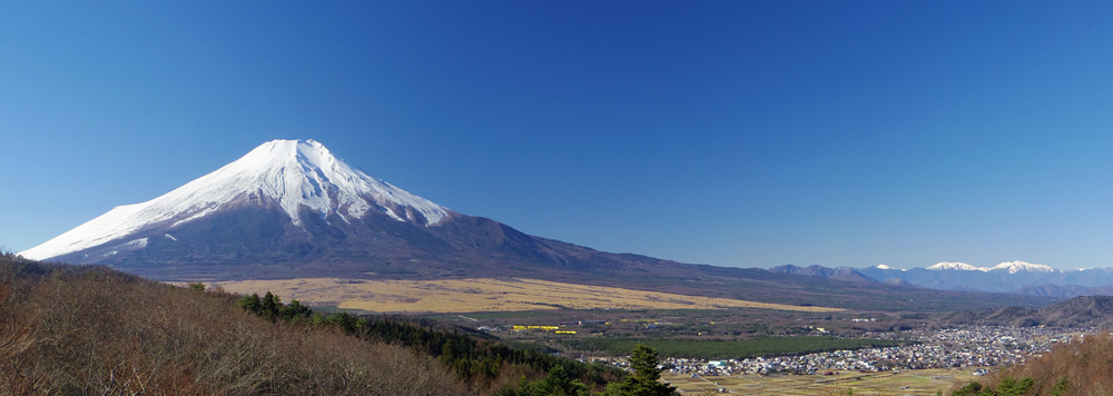 ��\�ȓ�����̕x�m�R