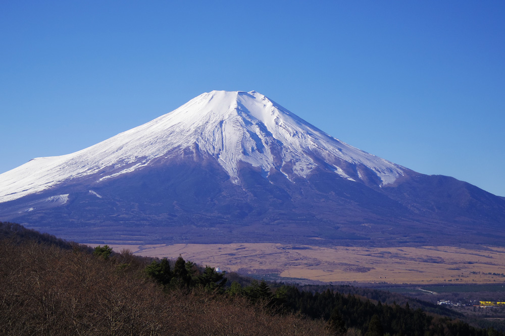 ��\�ȓ�����̕x�m�R