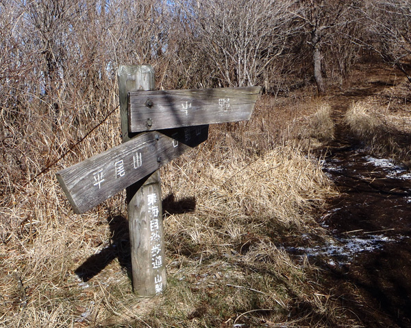 ����ɉ��镪��