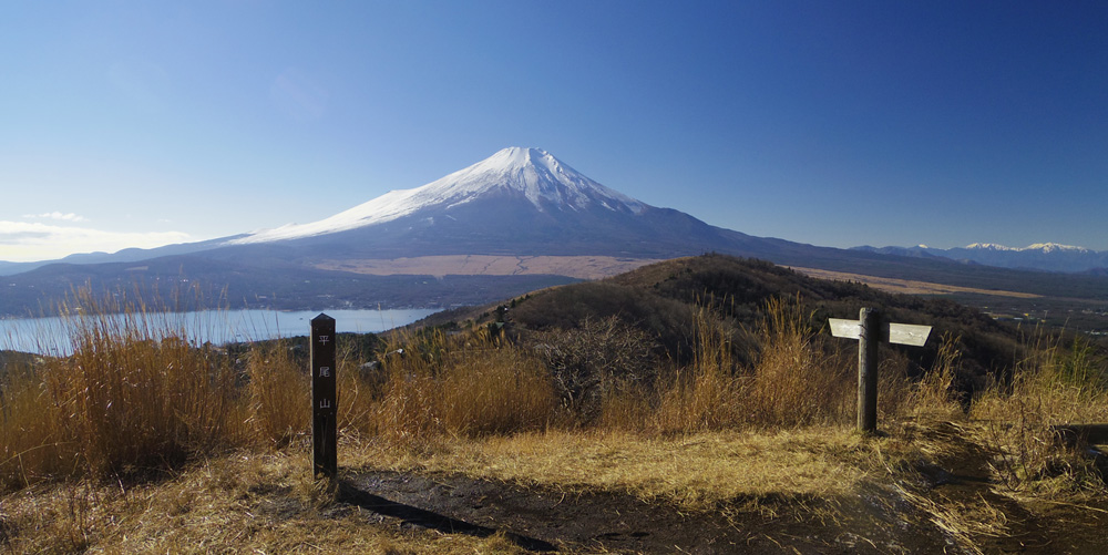 �����R�W���̑O����̋L�O�B�e�p�X�|�b�g����̕x�m�R