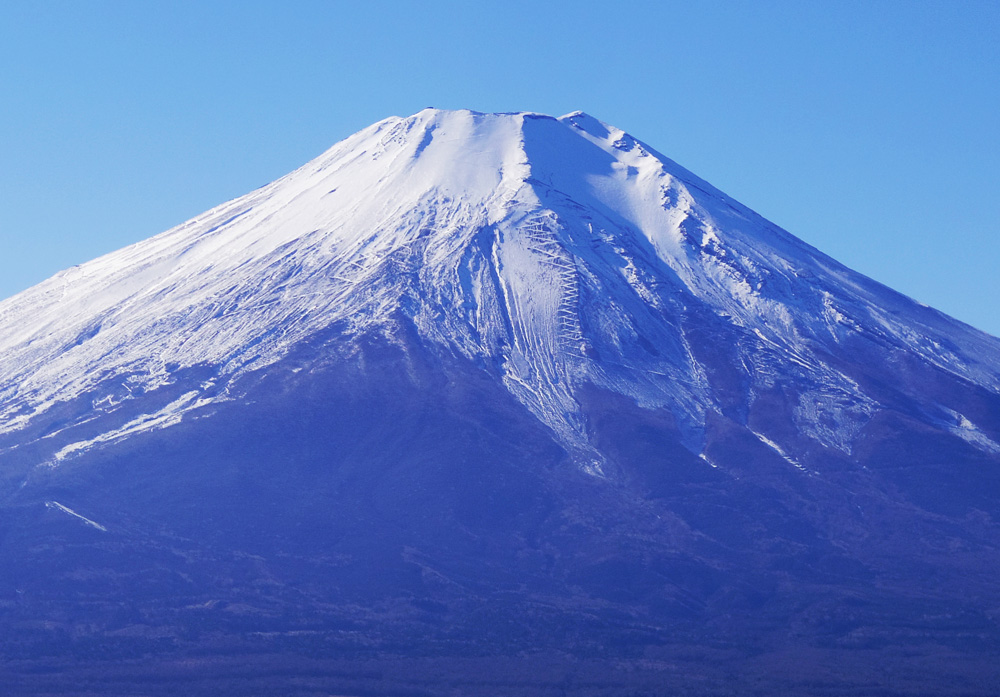 �����R����̕x�m�R�R����