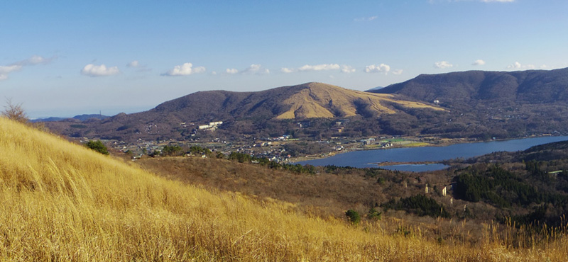 �S�C�؃m���̃J���g