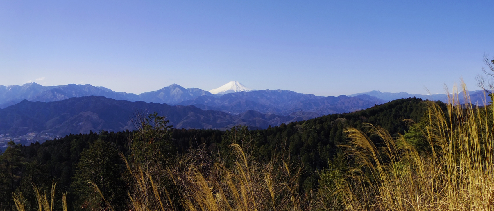 �����R�̈꒚������̕x�m�R�@