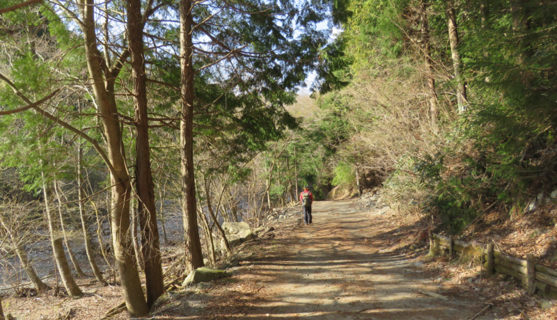 �O������ɉ����Đi��