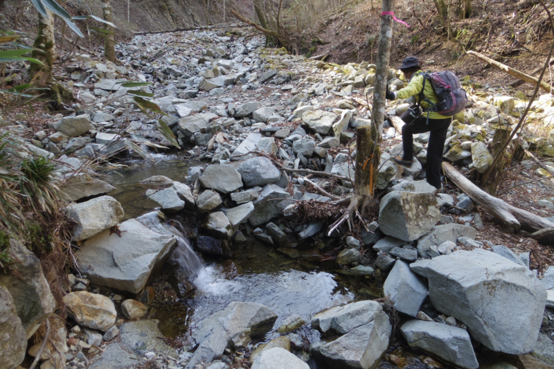 ������؂��Đi�݂܂�